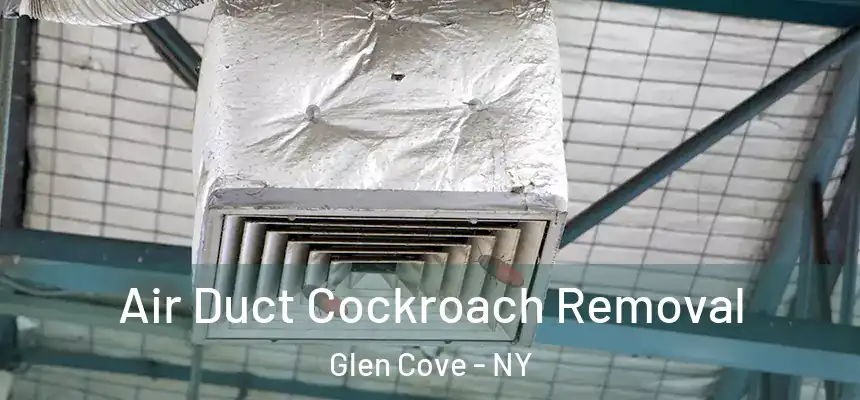 Air Duct Cockroach Removal Glen Cove - NY