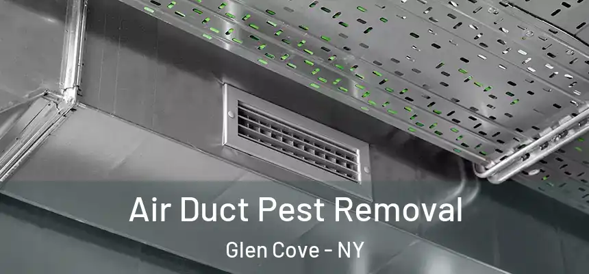 Air Duct Pest Removal Glen Cove - NY