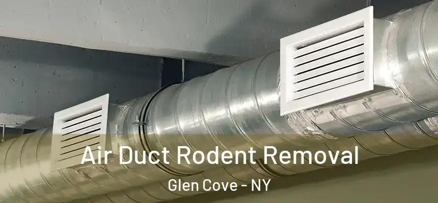Air Duct Rodent Removal Glen Cove - NY