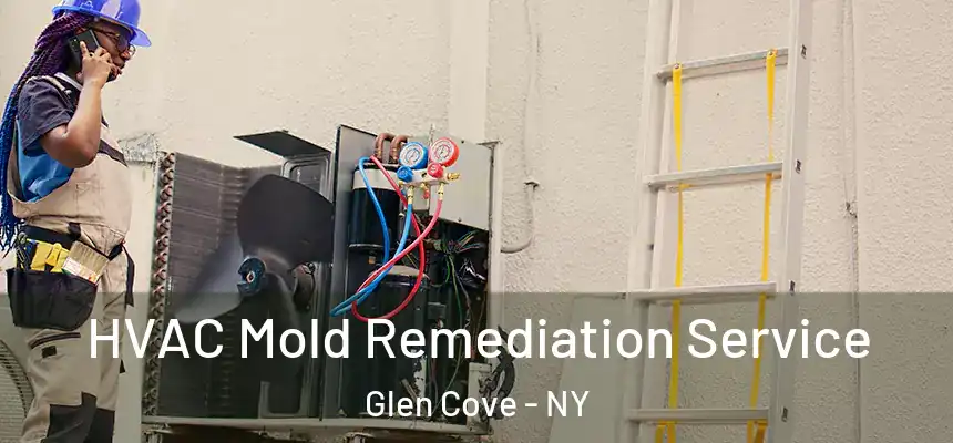 HVAC Mold Remediation Service Glen Cove - NY