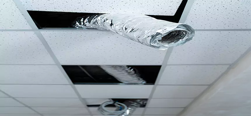 Affordable HVAC Sanitizing After Pest Removal in Glen Cove