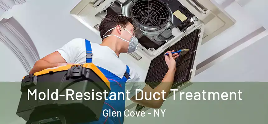 Mold-Resistant Duct Treatment Glen Cove - NY