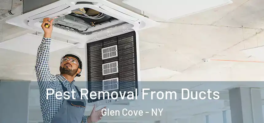 Pest Removal From Ducts Glen Cove - NY