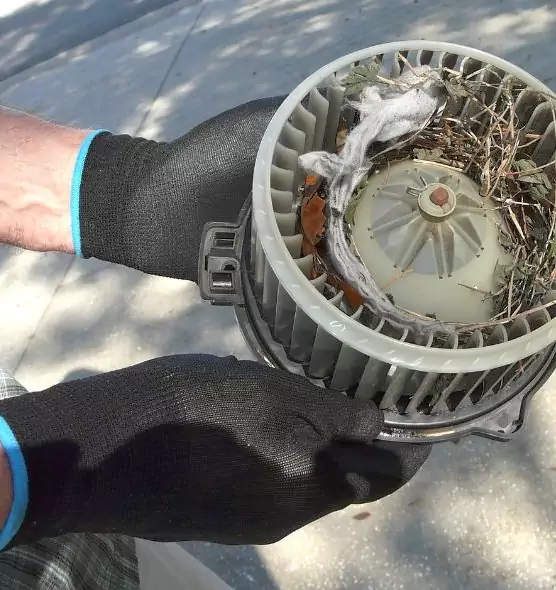 About Air Duct Rat Removal in Glen Cove, NY