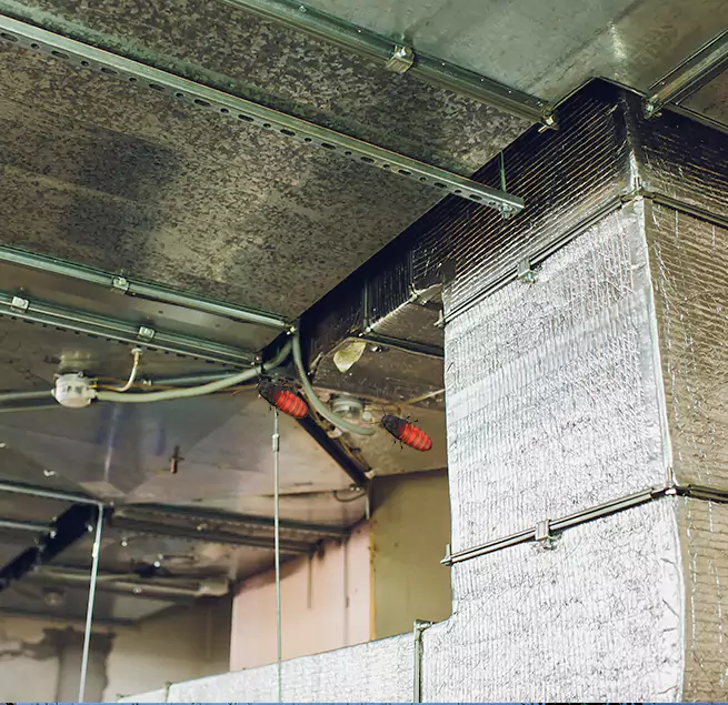 Why Homeowners & Businesses Trust Us in Glen Cove, NY?